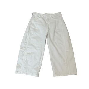 Anthropologie Pilcro Heritage Curve Mid-Rise Barrel Jeans Size 30P